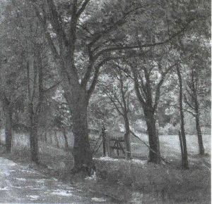 Das Gartentor by Adolf Beyer