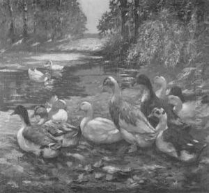 Entenfamilie An Einem Teich by Alfred Beyer