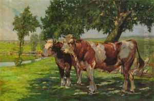 Kuhweide Im Mittagslicht by Alfred Beyer