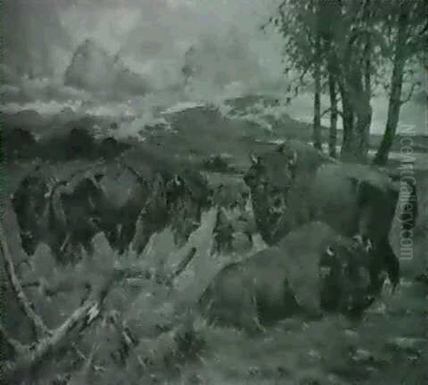 Buffel - view 1