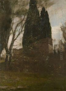 Cipressi E Ruderi