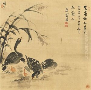 Wild Geese Wild Geese