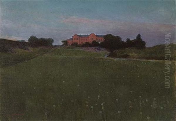 Ang Vid Solnedgang - Meadow At Sunset - view 1
