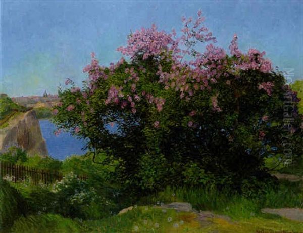 Utsikt Stockholm - view 1