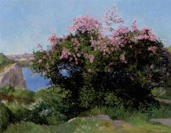 Blommande Syrener - view 1