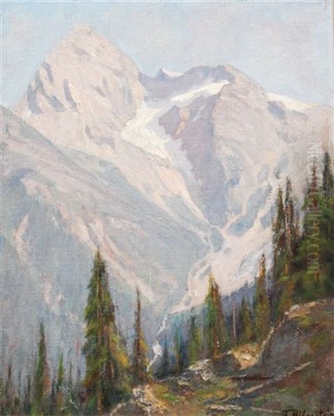 Mountain Range - view 1