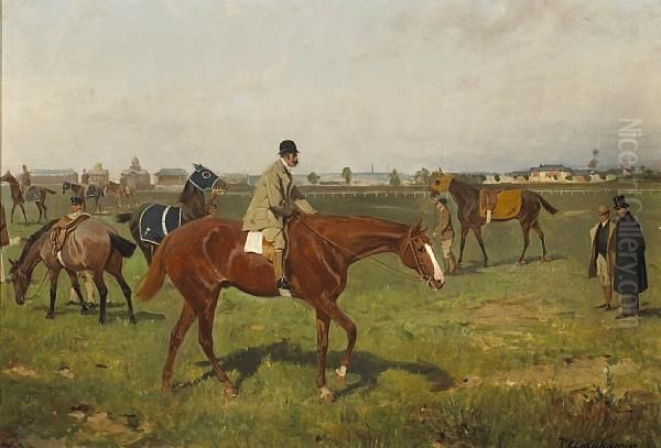 Pferde Auf Der Rennbahn - view 1