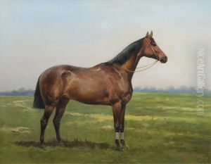 Race Horse