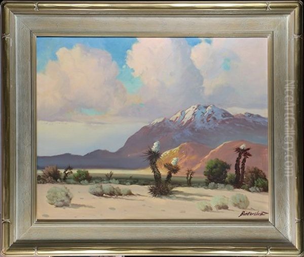 Desert With Joshua Trees - view 1