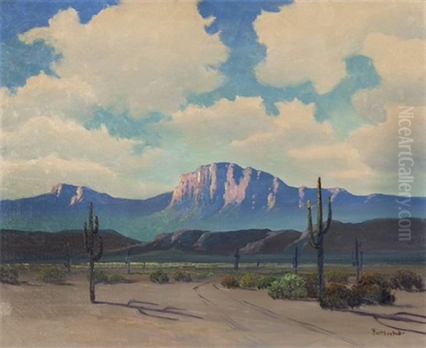Superstition Mountain Arizona - view 1