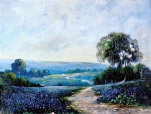 California Lupines