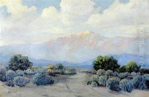 California Desert Landscape