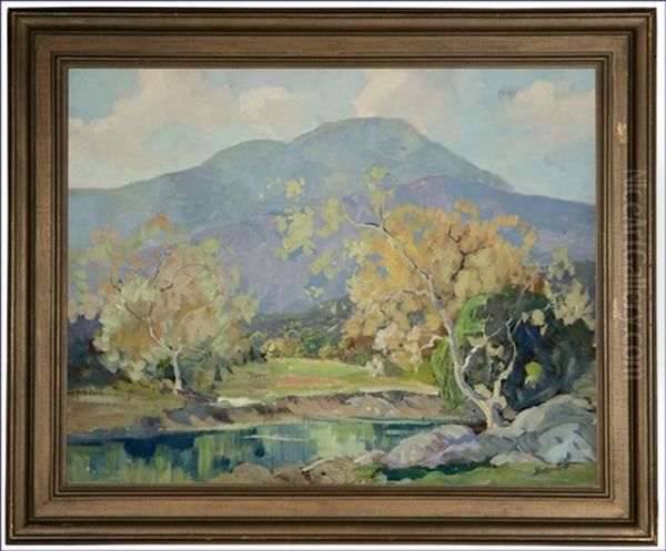 Trees And Reflections In A Spring Landscape - view 1