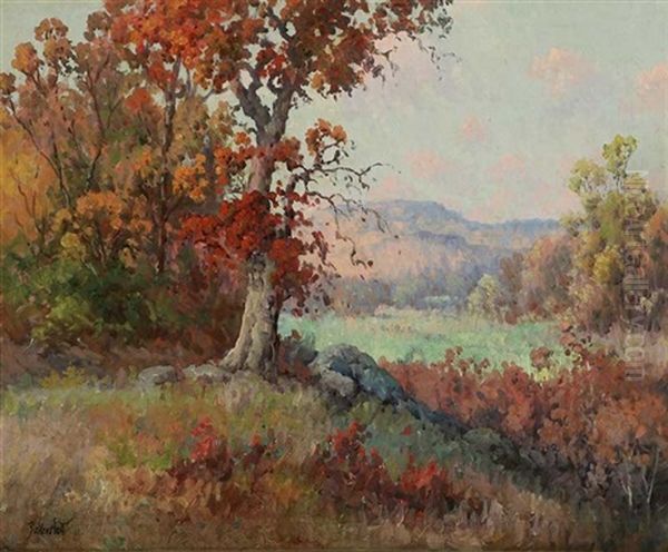 California Landscape - Autumn - view 1