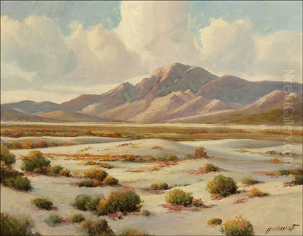 Desert Tranquility, Verbena In Landscape - view 1
