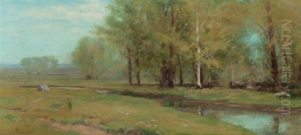 Quiet Stream At A Forest's Edge - view 1