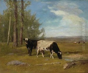 Cows Grazing In A Meadow by Albion Harris Bicknell