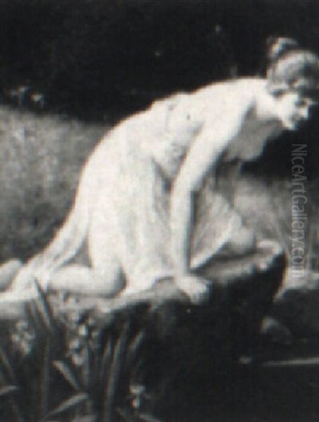 Fairy Peering Into A Pool - view 1