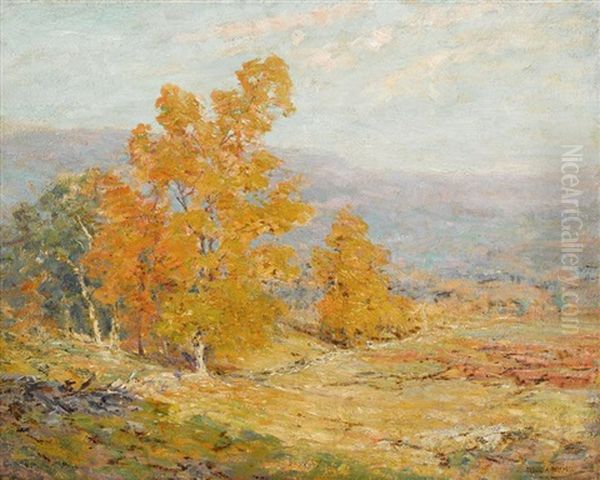 Hillside Trees - view 1