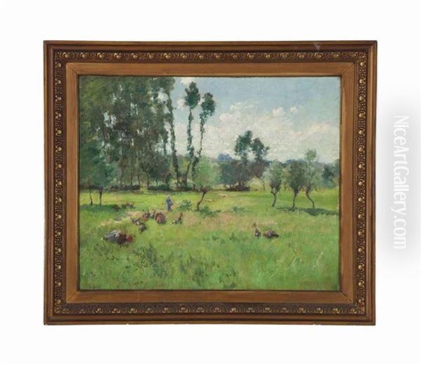 Woman Walking Along A Path Through A Field With Turkeys - view 1