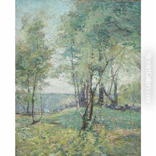 A May Morning - view 1