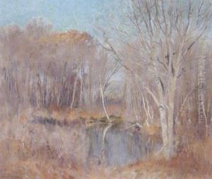 A Quiet Pool by Frank Alfred Bicknell