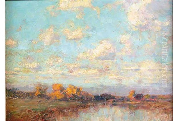 Marshland Clouds - view 1