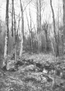 Woodland Stream by Frank Alfred Bicknell