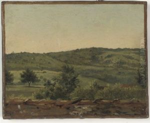 View Over The Rooftops, A Landscape