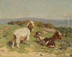 Sommerwiese Mit Ziegen by Walter Biddlecombe