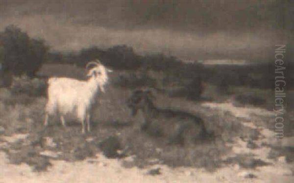 Cabras - view 1