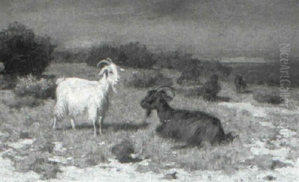 Cabras - view 1