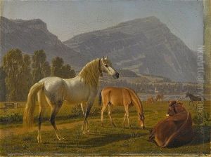 Pferde Und Rinder Auf Der Weide In Schweizer Gebirgslandschaft