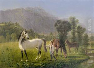 Pferde In Landschaft by Johann Jakob Biedermann