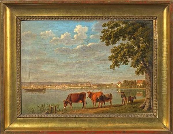 Blick Auf Konstanz Von Der Rosenau Aus - view 1