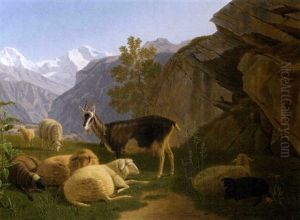 Ziege Und Schafe Vor "monch" Und "jungfrau" by Johann Jakob Biedermann