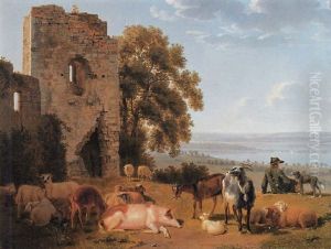 Bodenseelandschaft Mit Blick Auf Die Insel Mainau