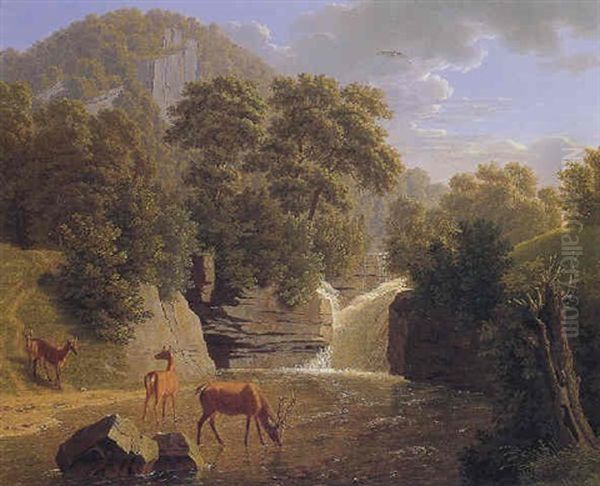 Deer Resting In A River With A Waterfall Beyond - view 1