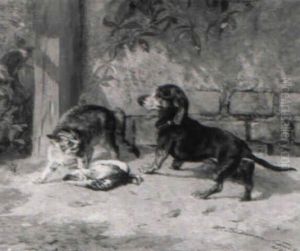 Hund Und Katze, Um Einen Toten Vogel Am Boden Streitend