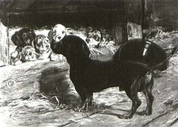 A Litter Of Dachsunds - view 1