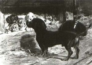 A Litter Of Dachsunds by Hermine Biedermann-Arendts