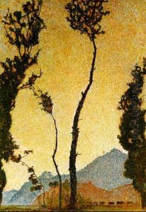 Paysage De La Plaine Du Rhone