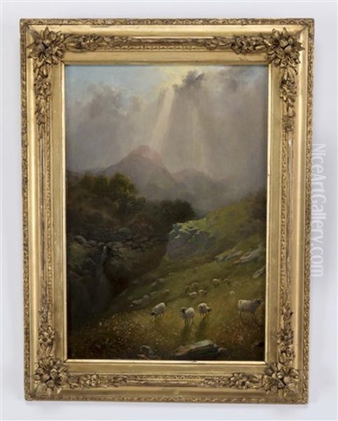 Mountain Range With Grazing Sheep, The Sun Breaking Through The Clouds - view 1