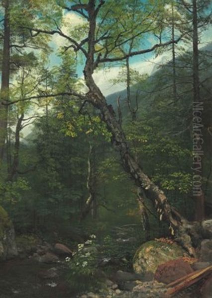 Woodland Interior, Catskills - view 1