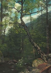 Woodland Interior, Catskills by Albert Bierstadt