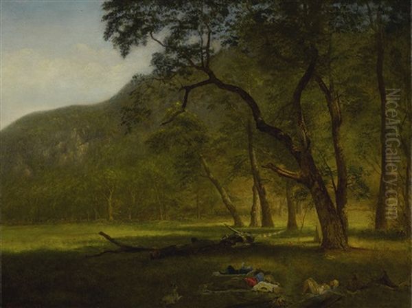 Hetch-hetchy Valley, California Campground (in The Green Woods) - view 1
