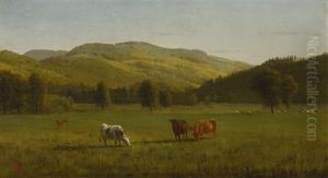 Pemigewasset River, N.h by Albert Bierstadt