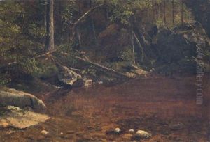 Forest Glade by Albert Bierstadt
