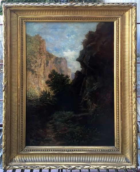 Yosemite Forest - view 1