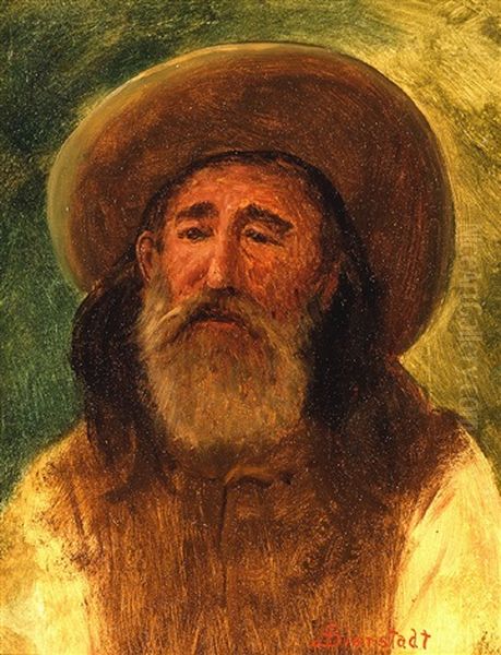 Jim Bridger, The Mountain Man - view 1